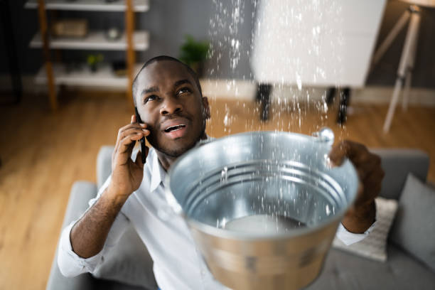 Best 24/7 water damage repair  in Kendallville, IN
