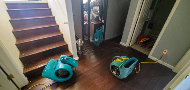 Best Mold removal after water damage  in Kendallville, IN