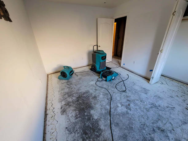 Best Basement water damage restoration  in Kendallville, IN