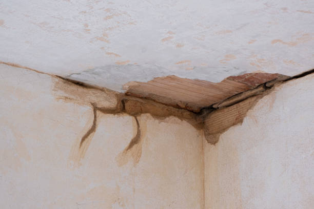 Best Water damage contractors near me  in Kendallville, IN