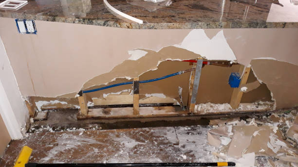 Best Local water damage restoration  in Kendallville, IN