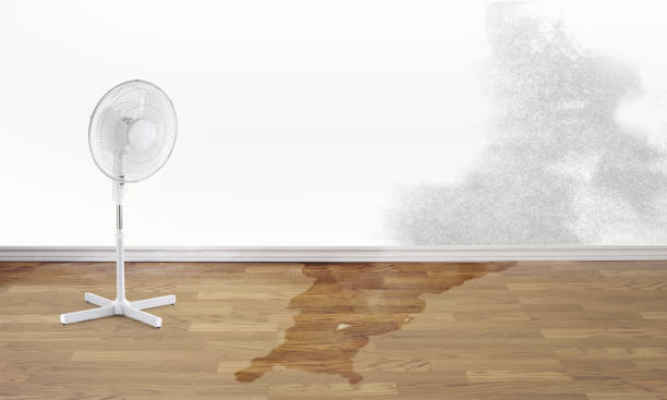 Reliable IN Water damage restoration Solutions