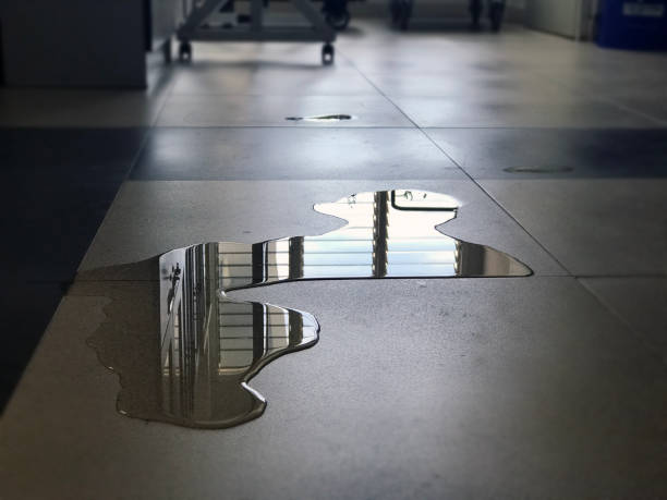 Best Water damage restoration cost  in Kendallville, IN