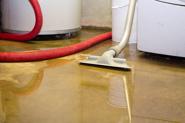 Best Fire Damage Restoration  in Kendallville, IN
