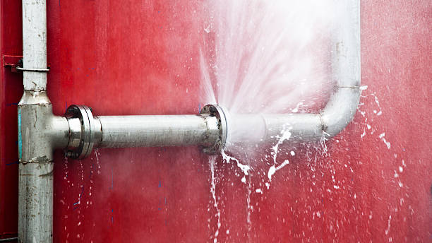 Best Water damage restoration services  in Kendallville, IN