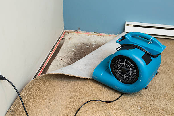Best Flood damage cleanup  in Kendallville, IN